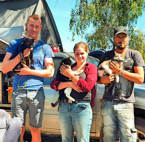 Richard e Willow encontraram mais aventureiros humanos e felinos pelo país | Foto: Reprodução Instagram.