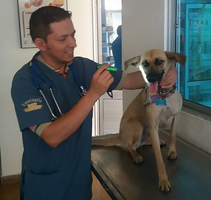 Popi já foi ao veterinário durante o mochilão | Foto: Divulgação.
