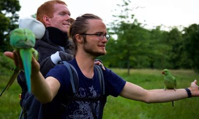 13511047 508032919387832 8346975141644564989 n