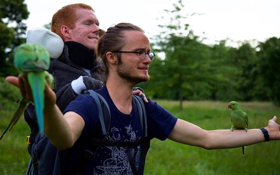 13511047 508032919387832 8346975141644564989 n