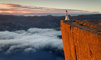 14902849 1161164430634170 9051463833066535916 o