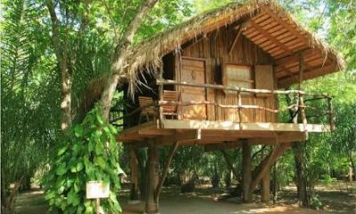 15181199 551563645052992 4885327923330946911 n