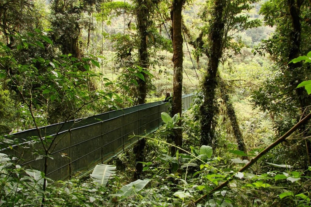 Puentes Colgantes em Monteverde - Costa Rica - Foto: Silnei L Andrade