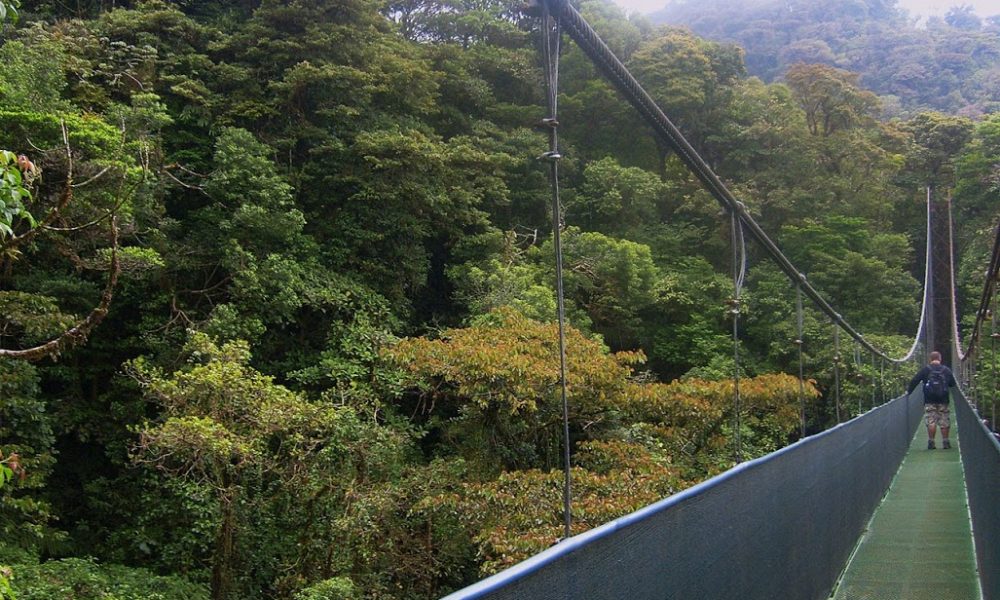 Na imagem em destaque uma das Pontes suspensas da Reserva Florestal de Monteverde na Costa Rica - Foto: Claudia Severo de Almeida / Mochileiros.com