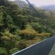 Na imagem em destaque uma das Pontes suspensas da Reserva Florestal de Monteverde na Costa Rica - Foto: Claudia Severo de Almeida / Mochileiros.com