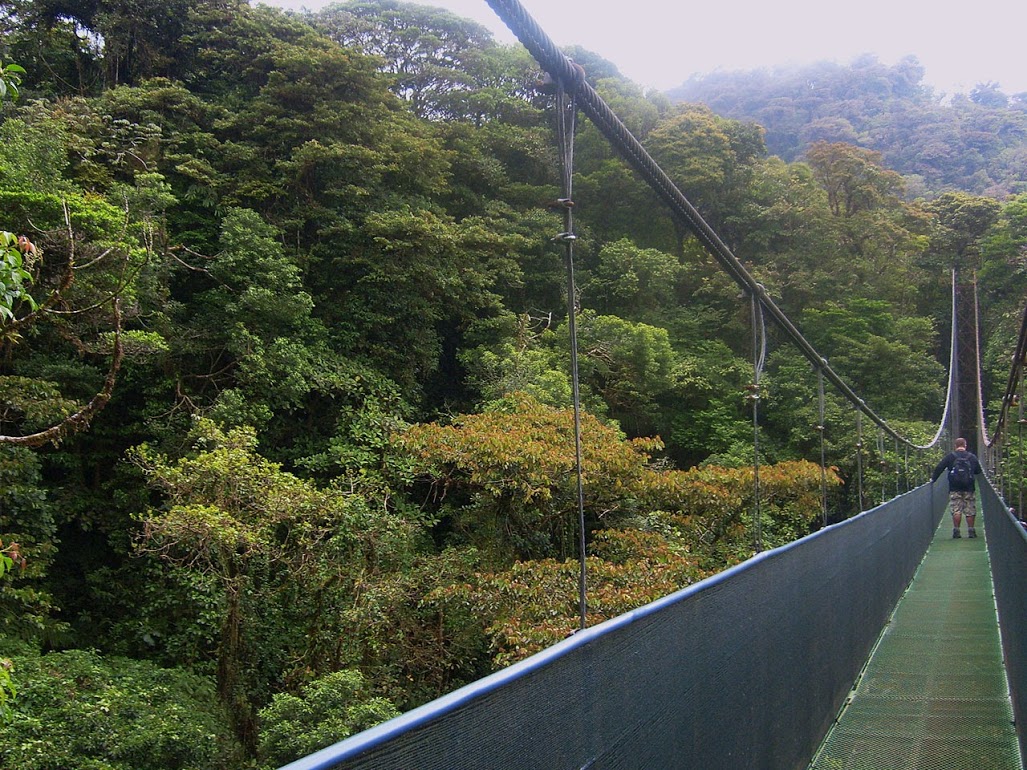 Na imagem em destaque uma das Pontes suspensas da Reserva Florestal de Monteverde na Costa Rica - Foto: Claudia Severo de Almeida / Mochileiros.com