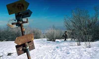 backpackerindexeuropa2017 00