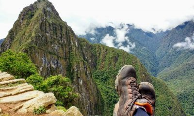 pesemMP alessandracavallari 1