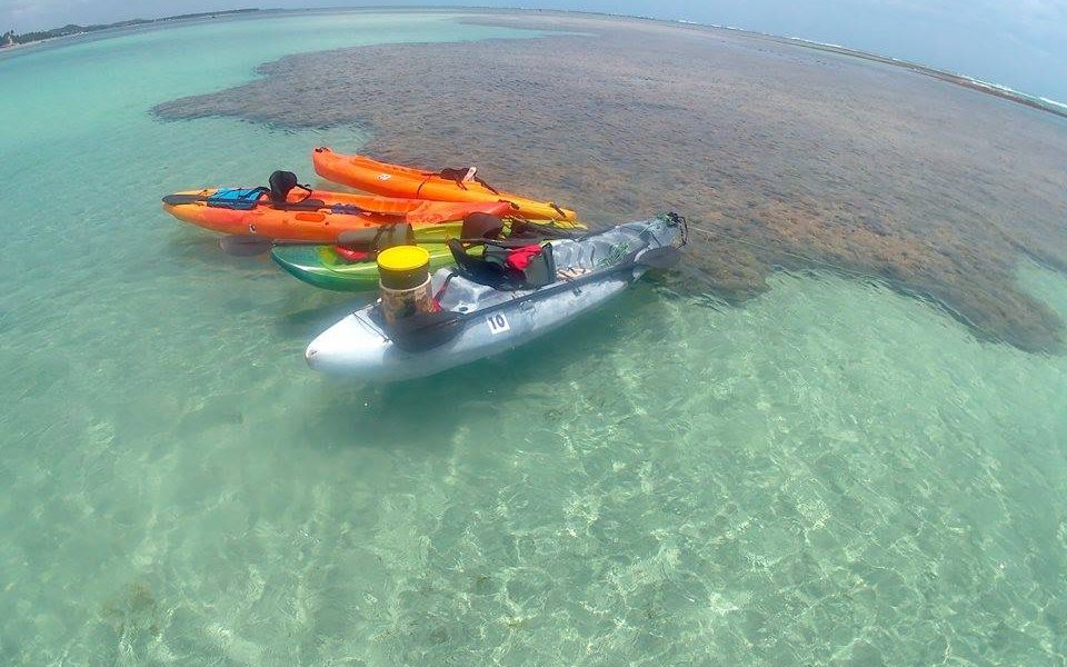 14908298 1542099469137310 5926091965686687984 n