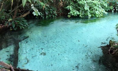 15492393 1490338464328120 7902320265575463170 n