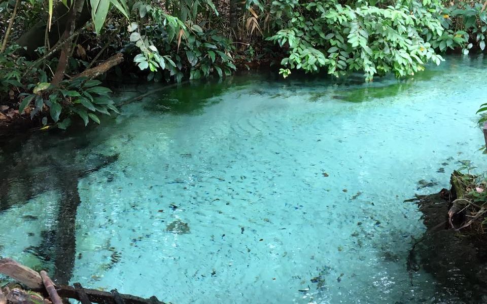 15492393 1490338464328120 7902320265575463170 n