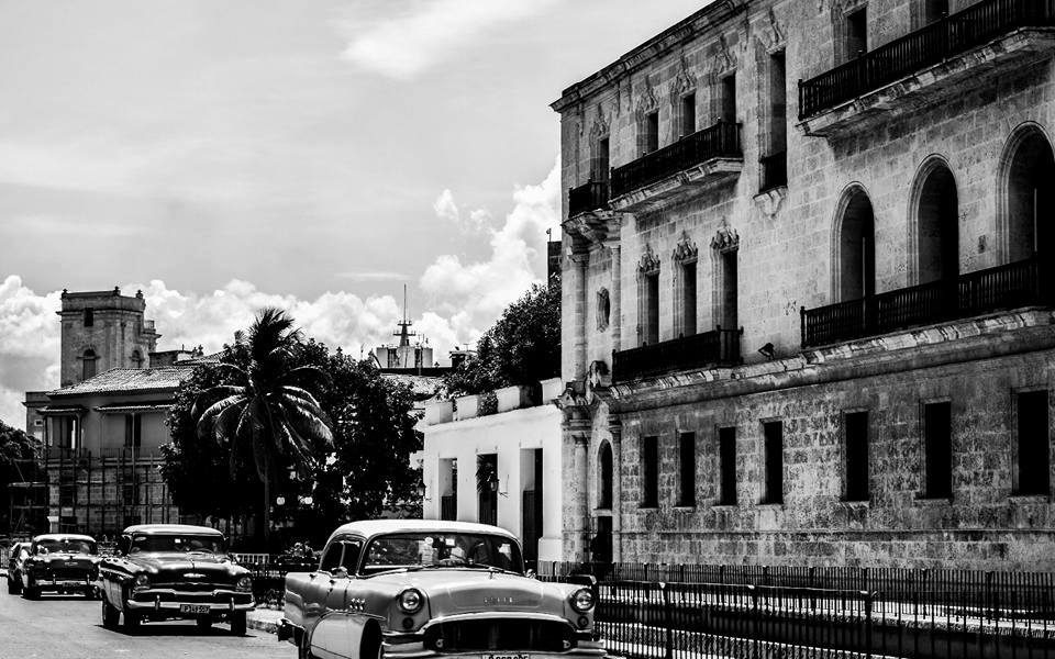 15747810 1188291517906161 4816368860577774443 n