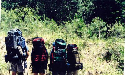 All McHale Backpacking family