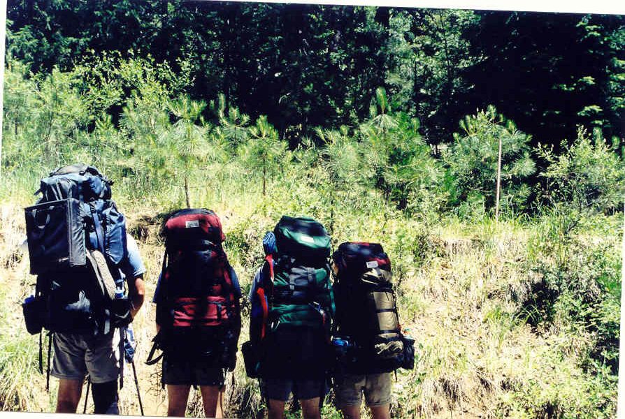All McHale Backpacking family