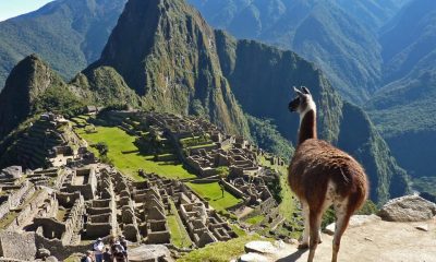 Charity Trek to Machu Picchu5 1