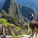 Charity Trek to Machu Picchu5 1