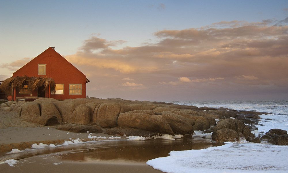 PDD VinceAlongi 1024x681