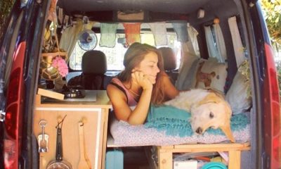 girl restores van travels with dog marina piro 64