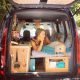 girl restores van travels with dog marina piro 64
