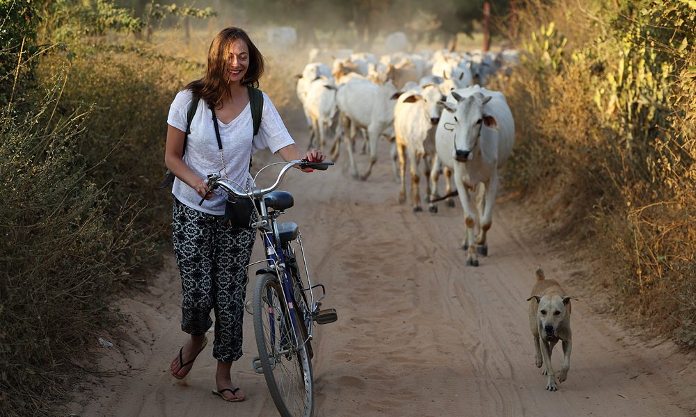 voltaaomundo9dolares03