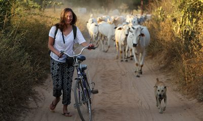 voltaaomundo9dolares03