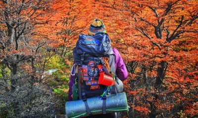 17192162 10154110376582142 4461688082162627051 o