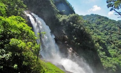 406521 10150562689019812 659923309 n