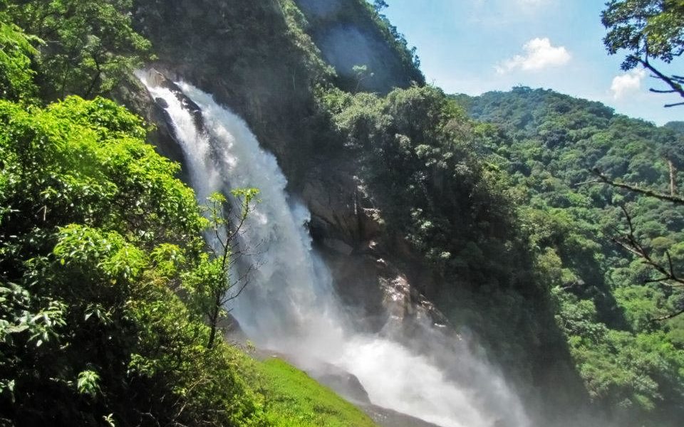 406521 10150562689019812 659923309 n