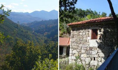 ecoaldeiavegetarianapt01