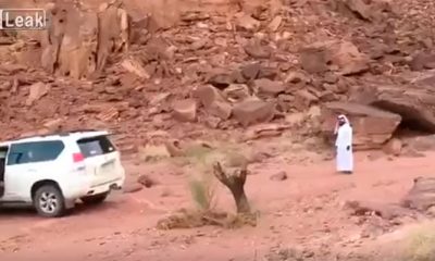 karmainstantaneoarvore