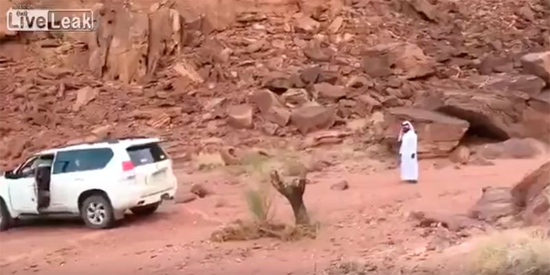 karmainstantaneoarvore