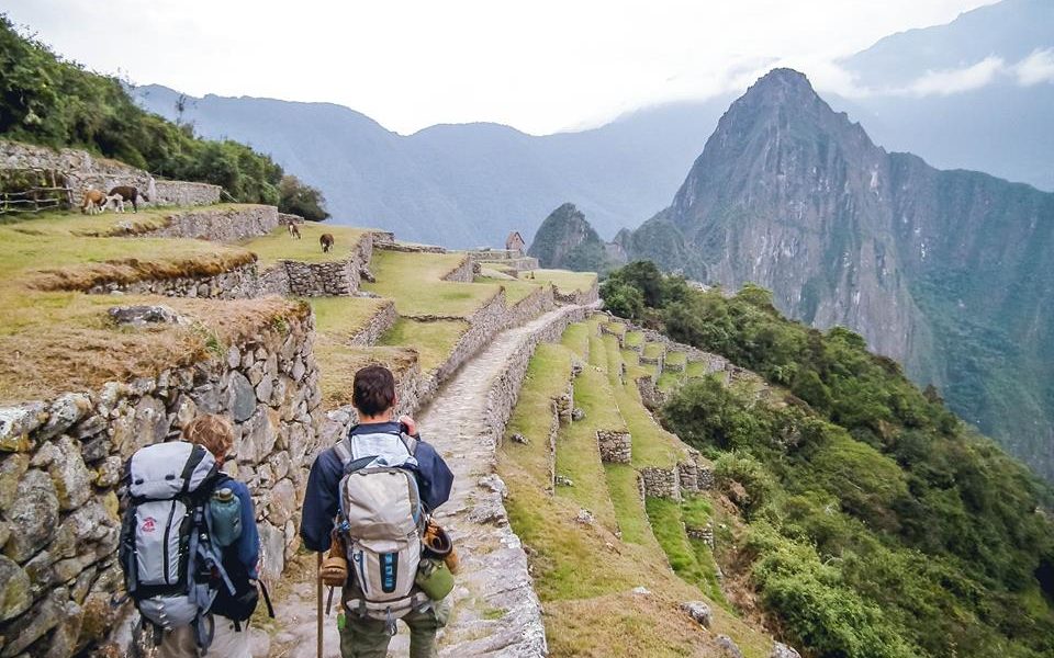 17626289 10208539273309259 4980417012295173936 n