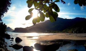 18057128 736820009811544 4200635772601366877 n