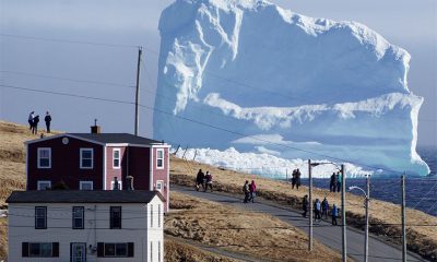 huge iceberg alley canadian coast 10