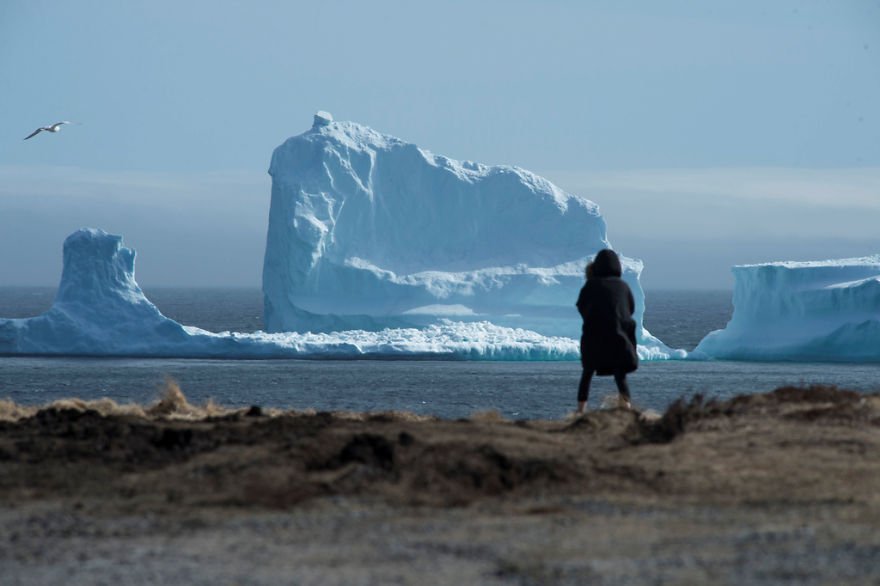 huge iceberg alley canadian coast 9 58f857feea686 jpeg 880