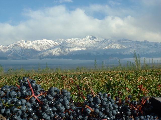 vinicola em santiago chile