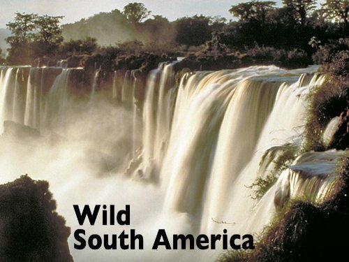 wildamericadosul