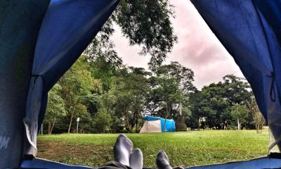 18199283 1972384036327344 113270369935334852 n