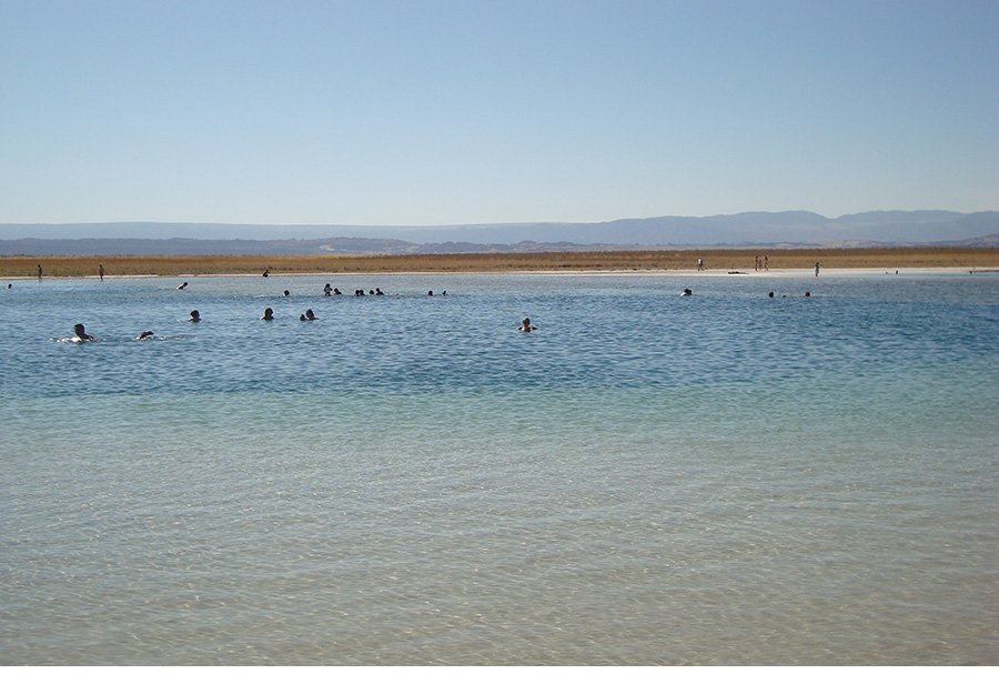 Laguna cejar