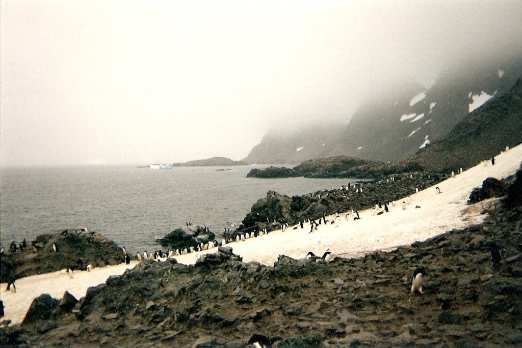 Laurie Island in the South Orkney Islands