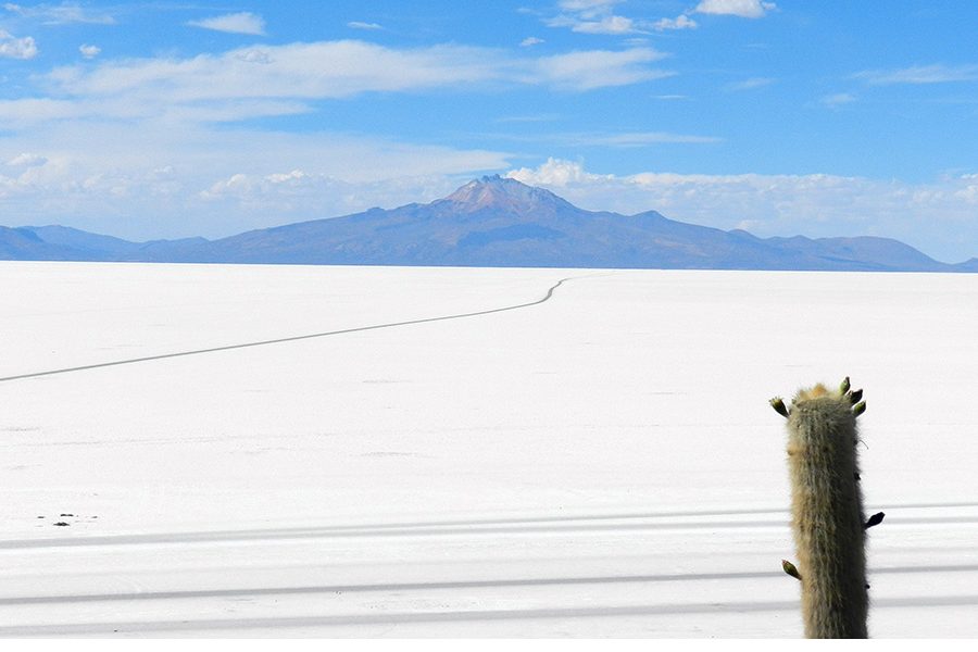 Salar 01 1
