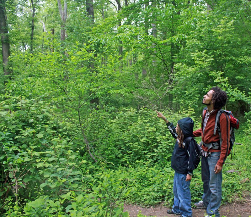 kids woods hiking Photo Brian McNeal USDA flickr