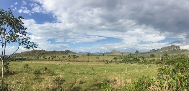 Chapada dos Veadeiros