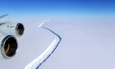 261649c4c7e114aaa26c79724a029df4876e2d08 1 768x432