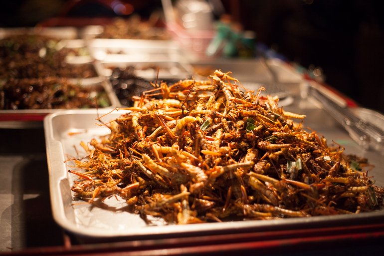 Insetos servidos como petiscos na Khao San