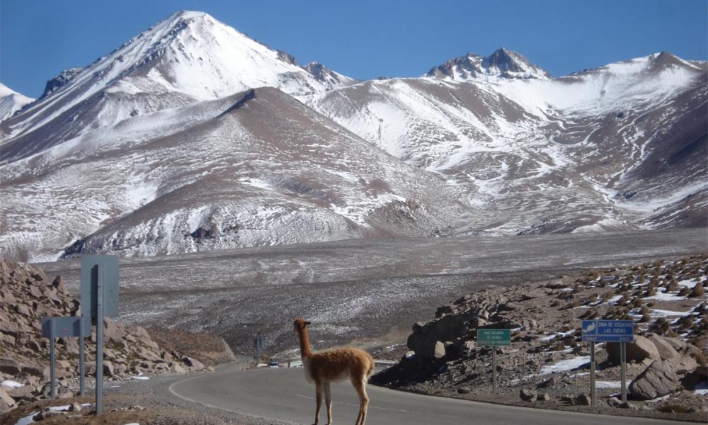 Parque_Nacional_Lauca_-_panoramio