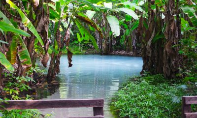 10 coisas imperdíveis do Jalapão