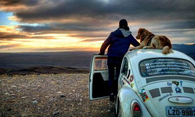 20232186 1615905725088141 5252195872599780358 o