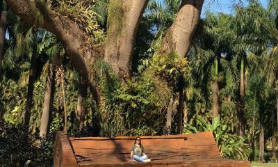 Inhotim, Minas Gerais