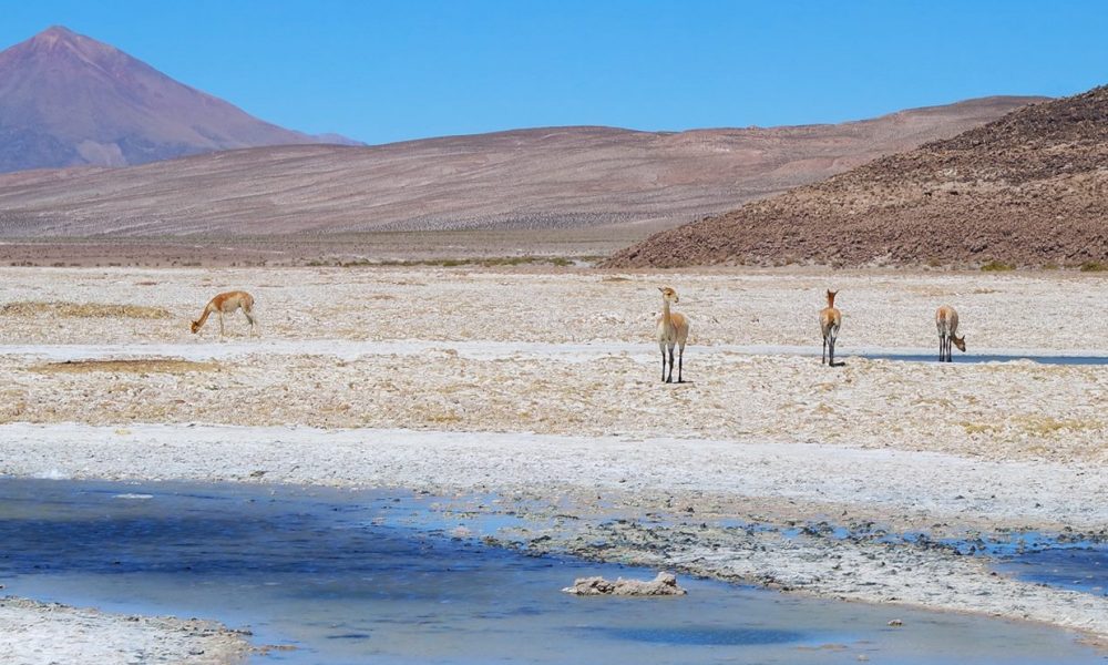 salar de uyuni